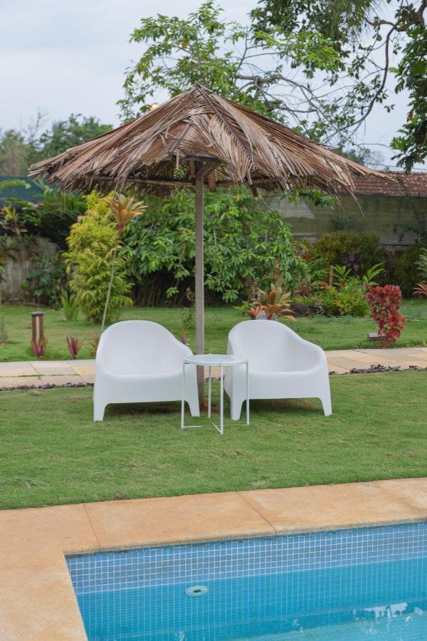 Roca Santo Antonio Ecolodge Sao Tome Eksteriør billede